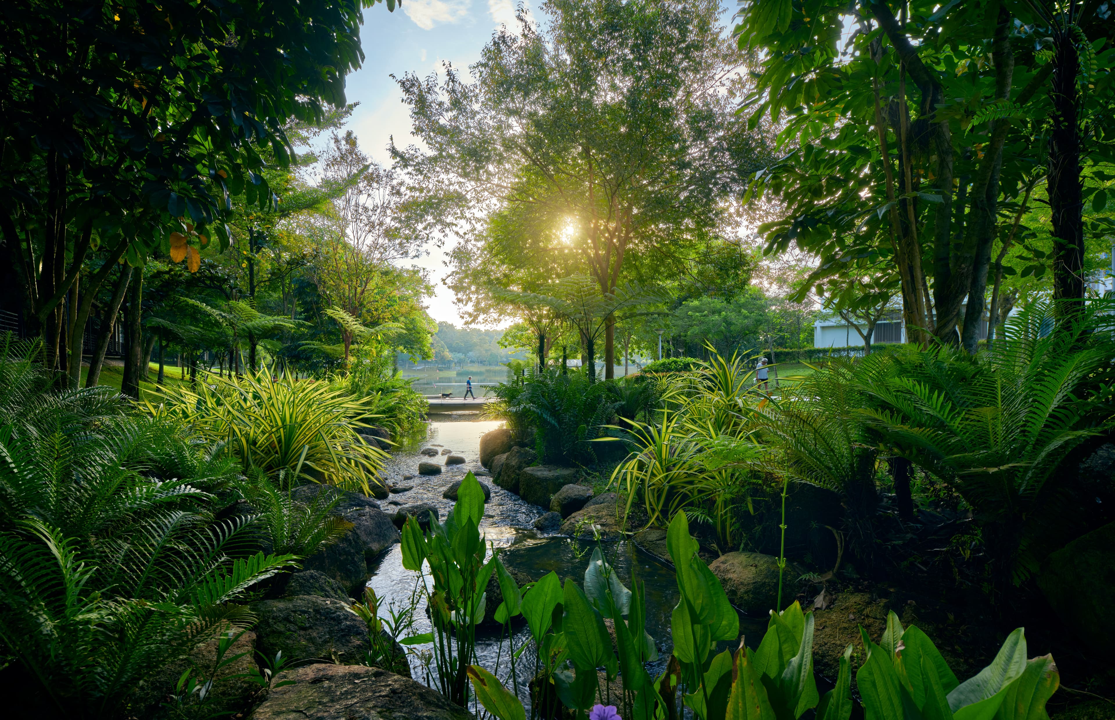 Desa ParkCity lush green park with lake and walking paths