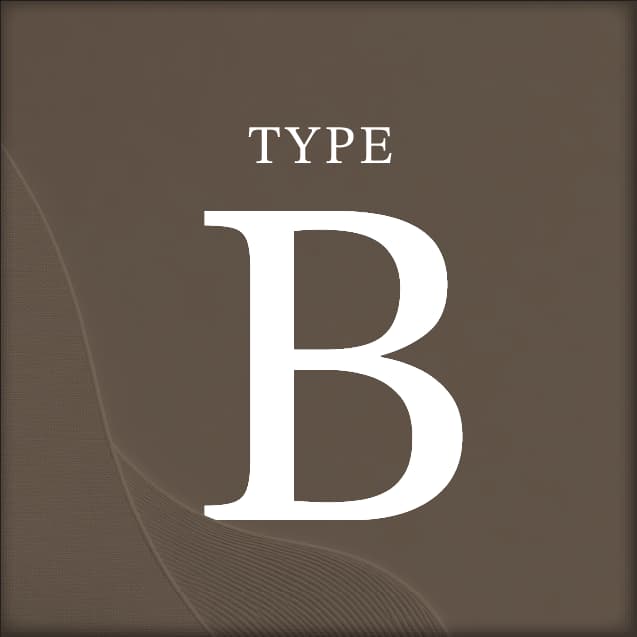 Floor Plan Type B
